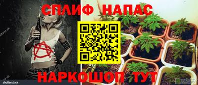 сатива Берёзовский