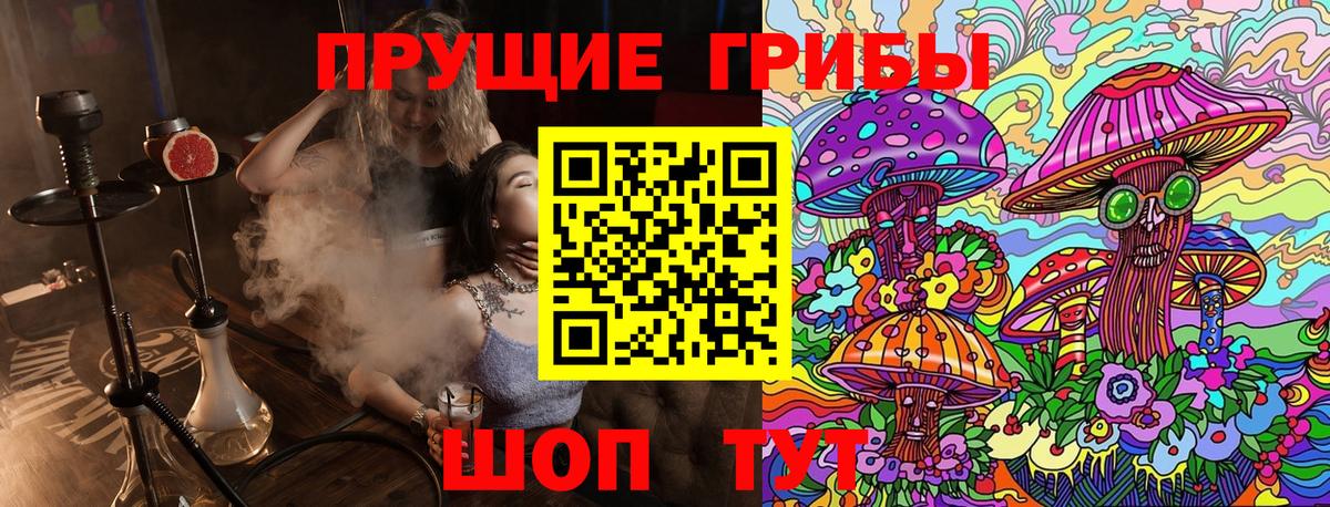 Псилоцибиновые грибы MAGIC MUSHROOMS  Галлюциногенные грибы мицелий  Звенигород  Вход с VPN 